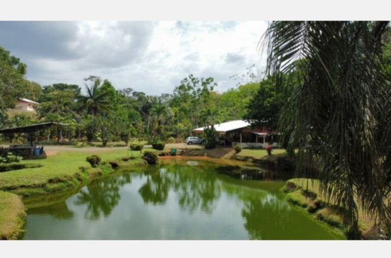 Finca Sura 01