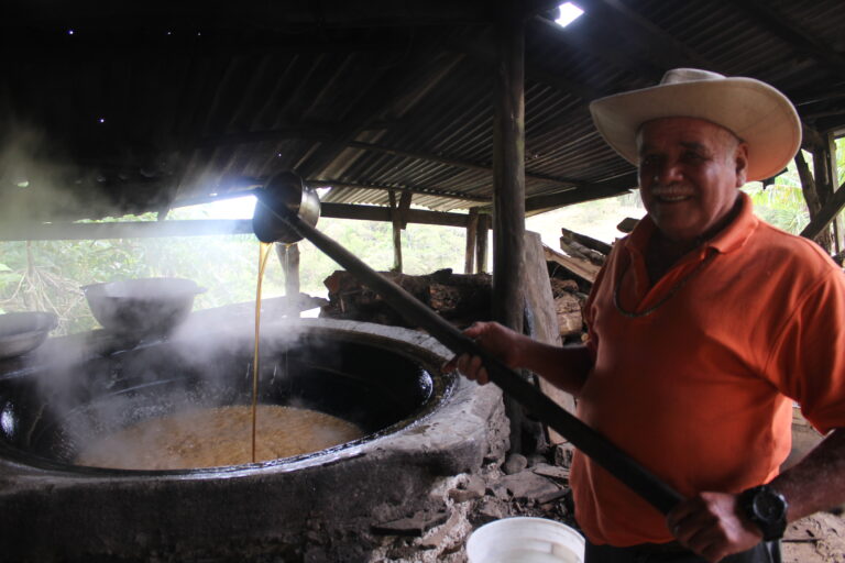 Trapiche Zapotal (2)