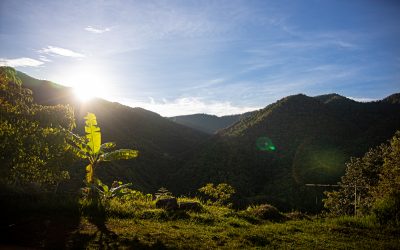 Providencia-5868
