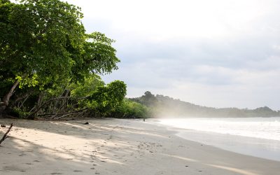 playa5